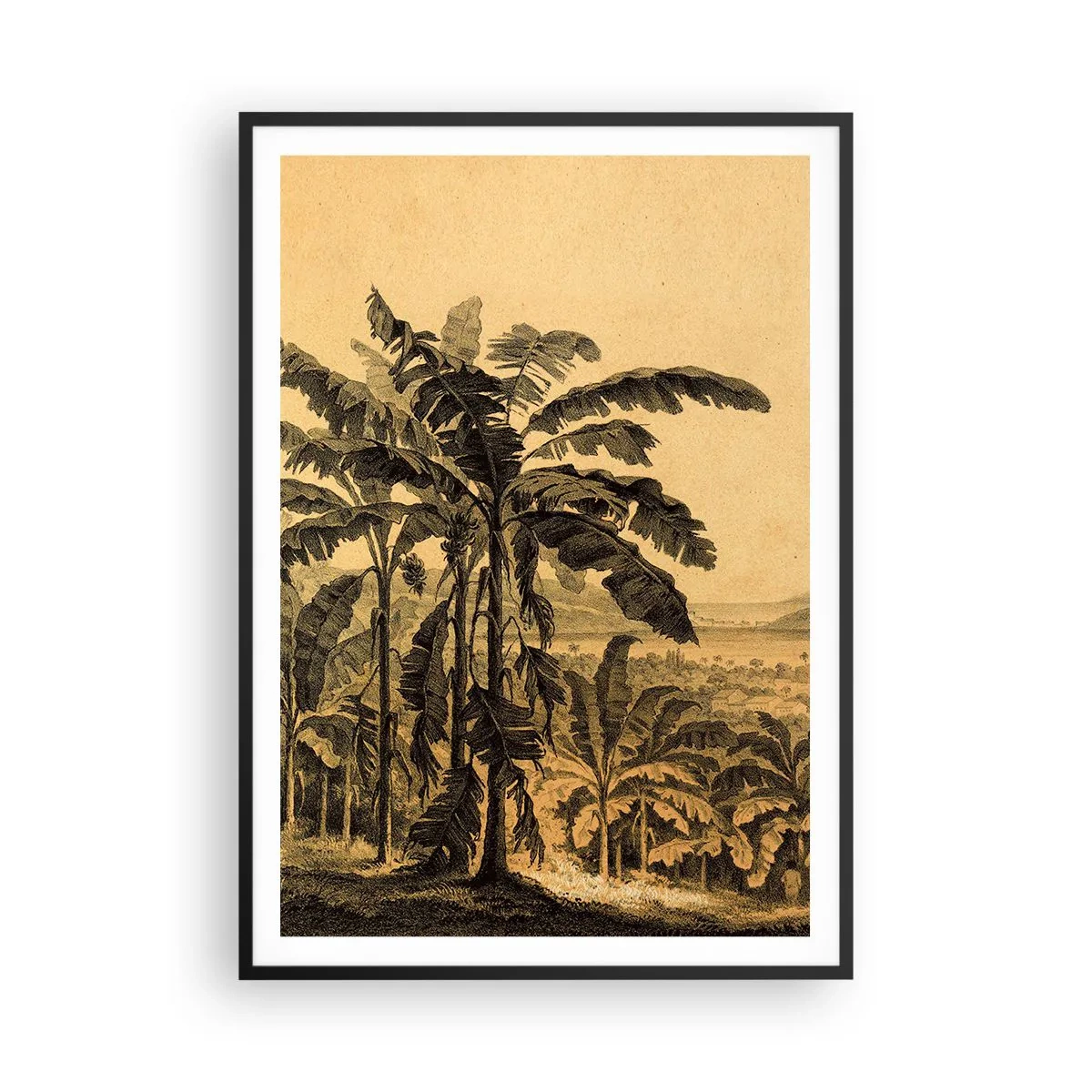 Poster in black frame - In Colonial Character - 70x100 cm