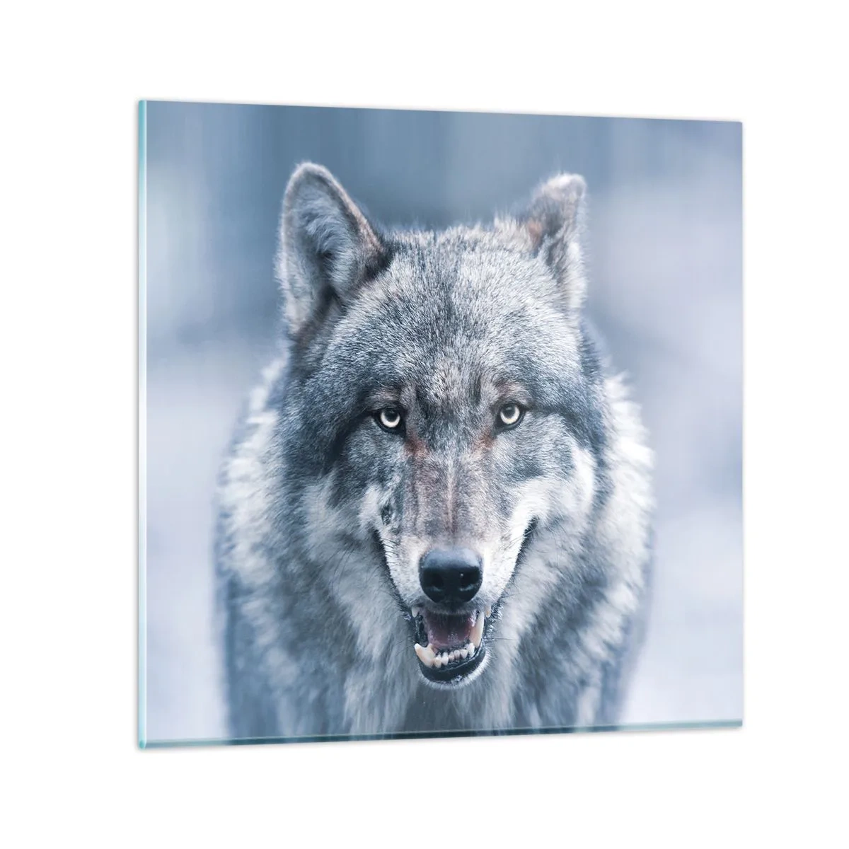 Glass picture - Will You Take Up the Challenge? - 50x50 cm