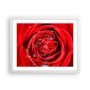 Poster in white frmae - In Dew Drops - 50x40 cm