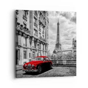 Canvas picture - Predator in the City - 40x40 cm