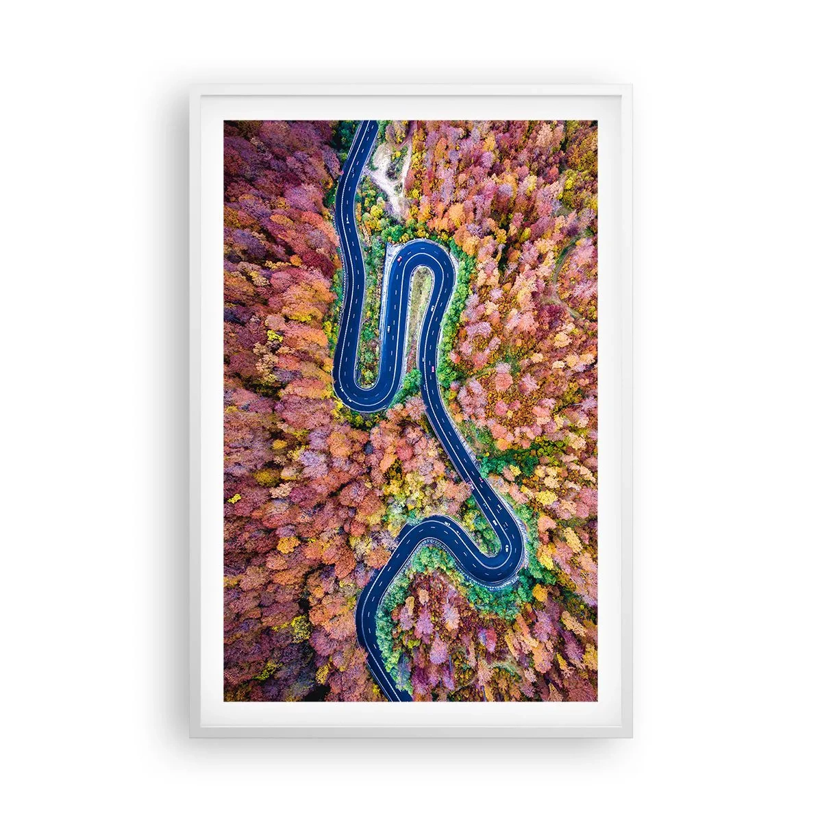 Poster in white frmae - Winding Path through a Forest - 61x91 cm