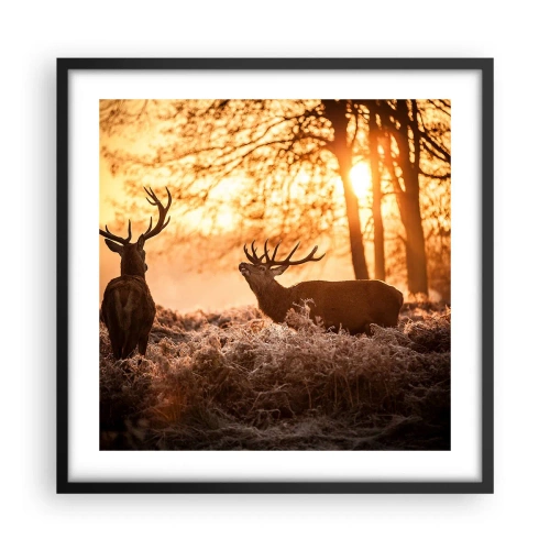 Poster in black frame - Hunter's Dream - 50x50 cm