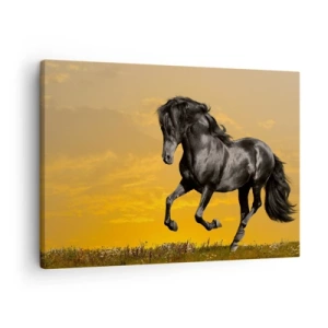 Canvas picture - A black horse gallops against the backdrop of a golden sunset. - 70x50cm - Beautiful, Free and Wild - Modern wall decoration for the living room and bedroom ARTTOR