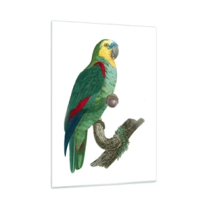 Glass picture - Parrot Portrait - 50x70 cm