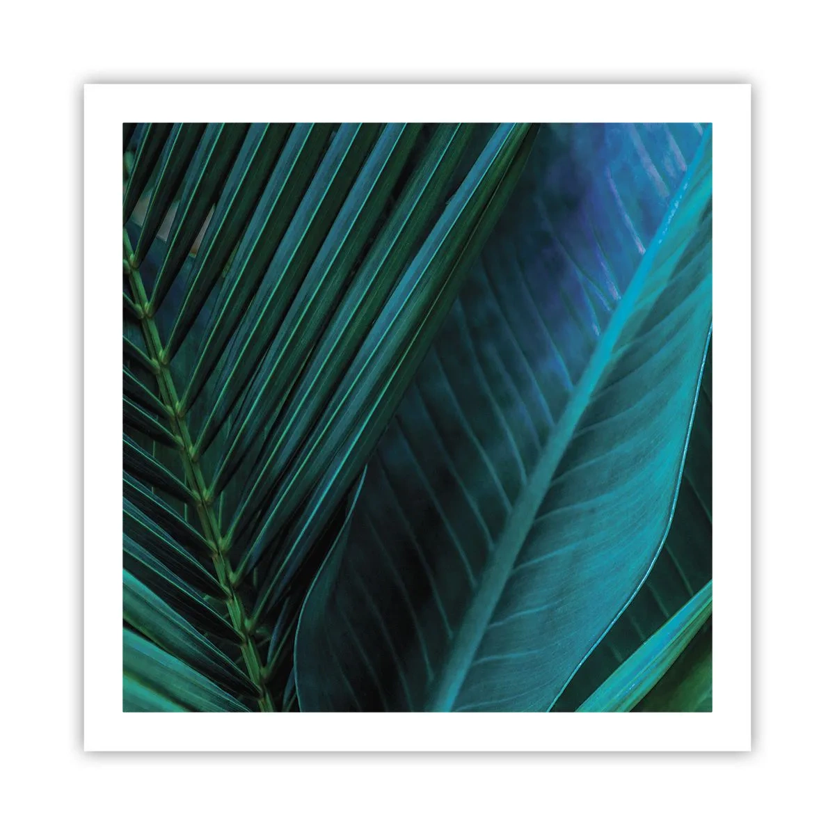 Poster - Anatomy of Green - 60x60 cm