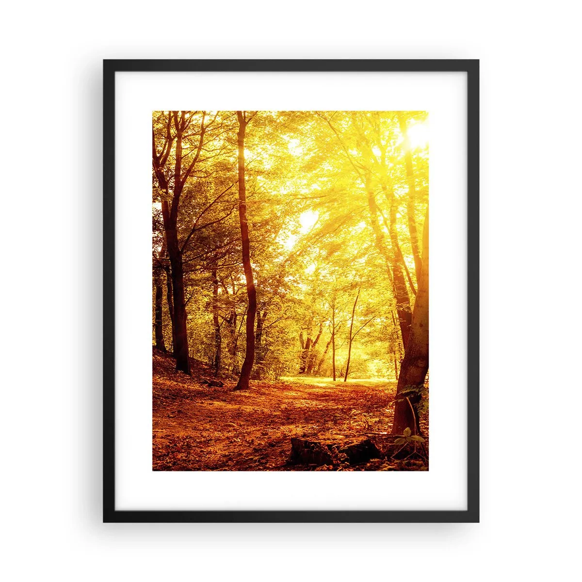 Poster in black frame - Towards Golden Plain - 40x50 cm
