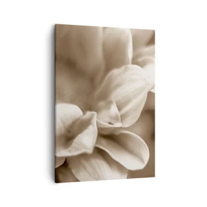 Canvas picture - Soft as a Smile - 50x70 cm