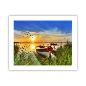 Poster - Cormorants Are Flying Away - 50x40 cm