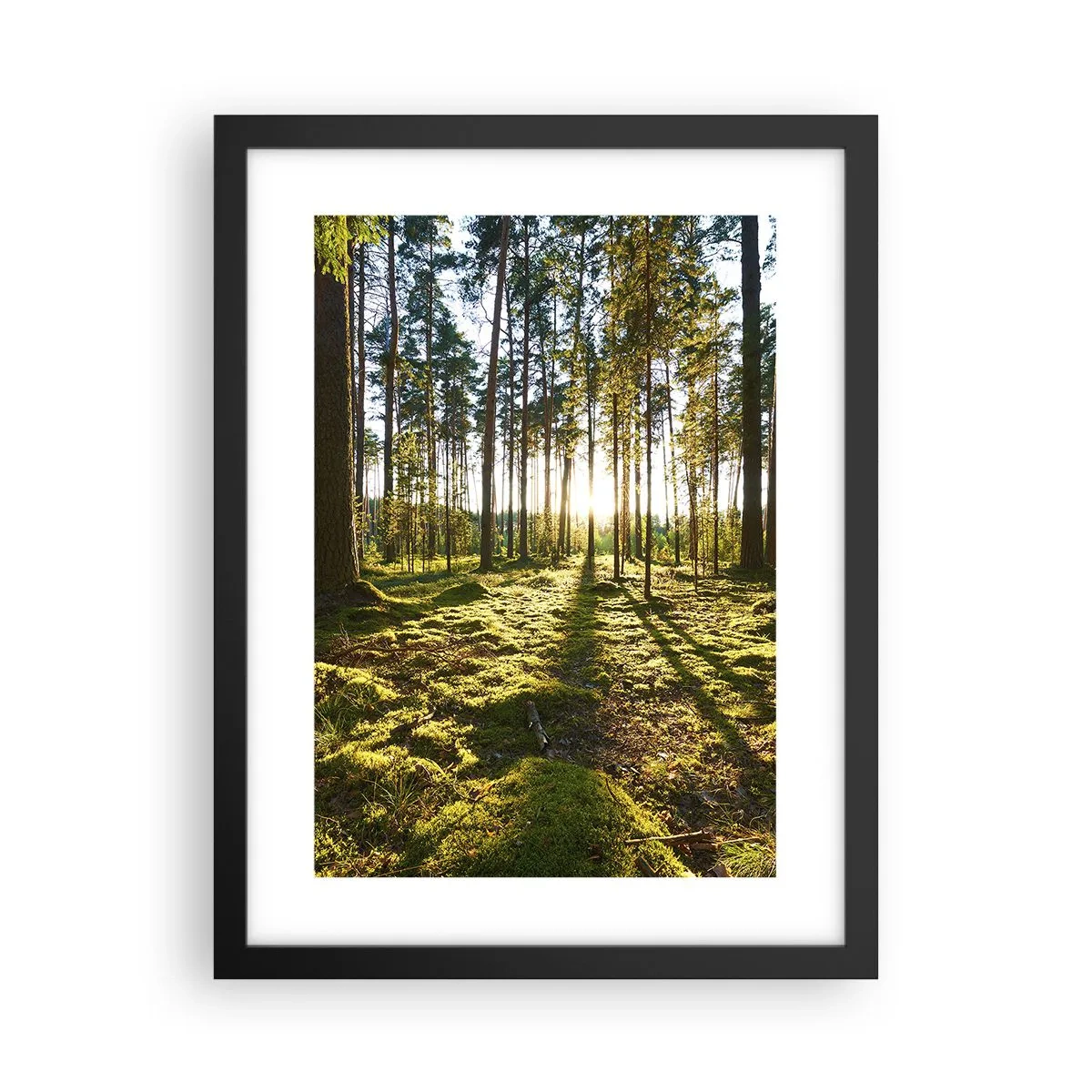 Poster in black frame - Deep in the Forest - 30x40 cm