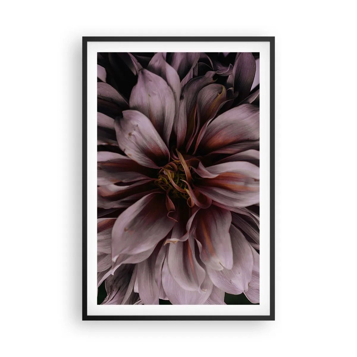 Poster in black frame - Flowery Heart - 61x91 cm