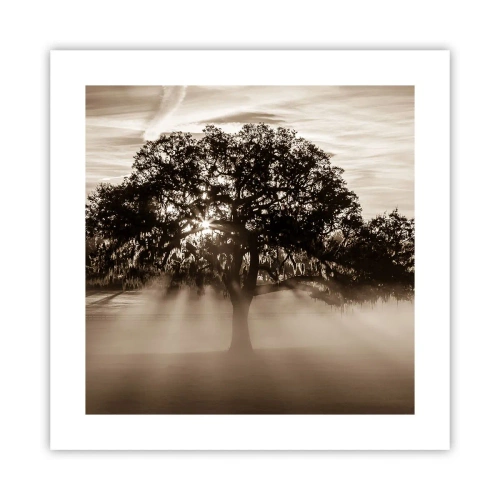Poster - Tree of Good Knowledge - 40x40 cm