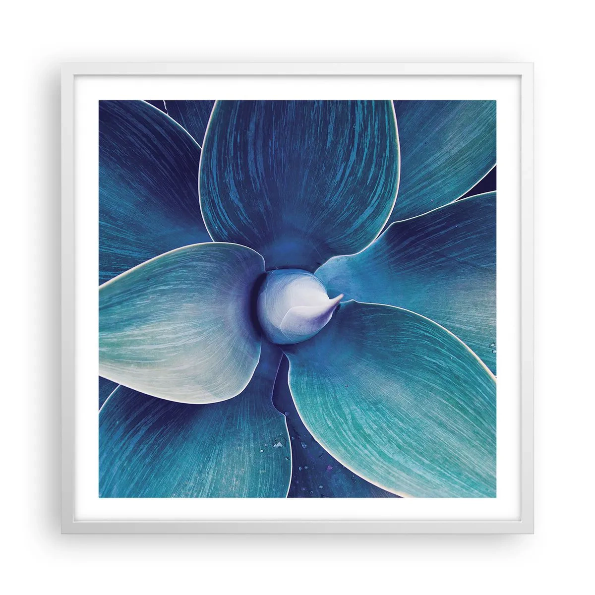 Poster in white frmae - Blue from the Sky - 60x60 cm