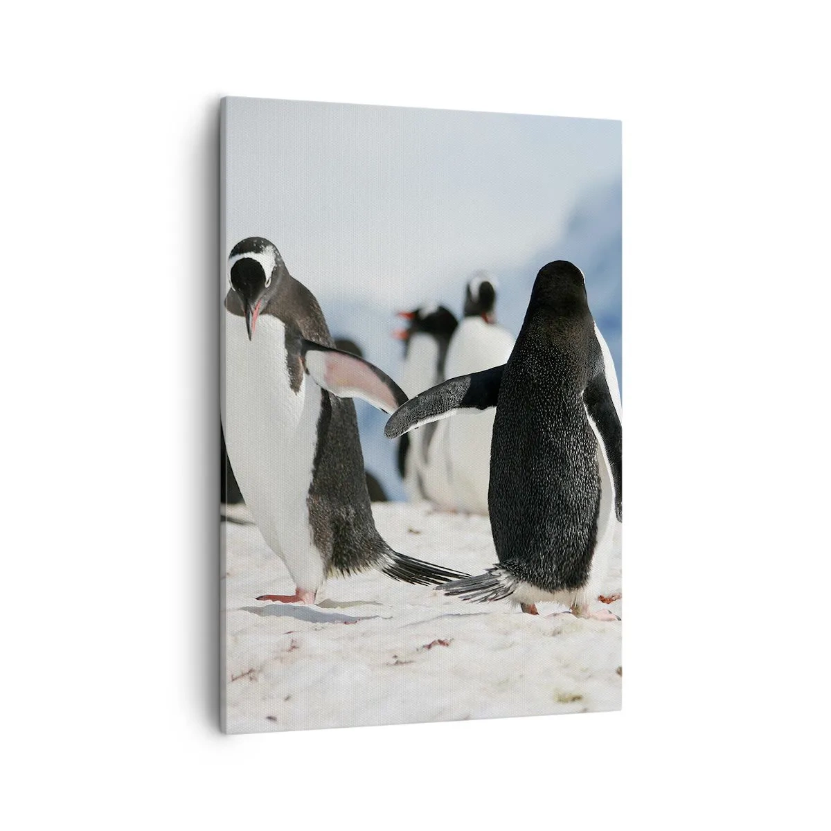 Canvas picture - Dance in the Snow - 50x70 cm