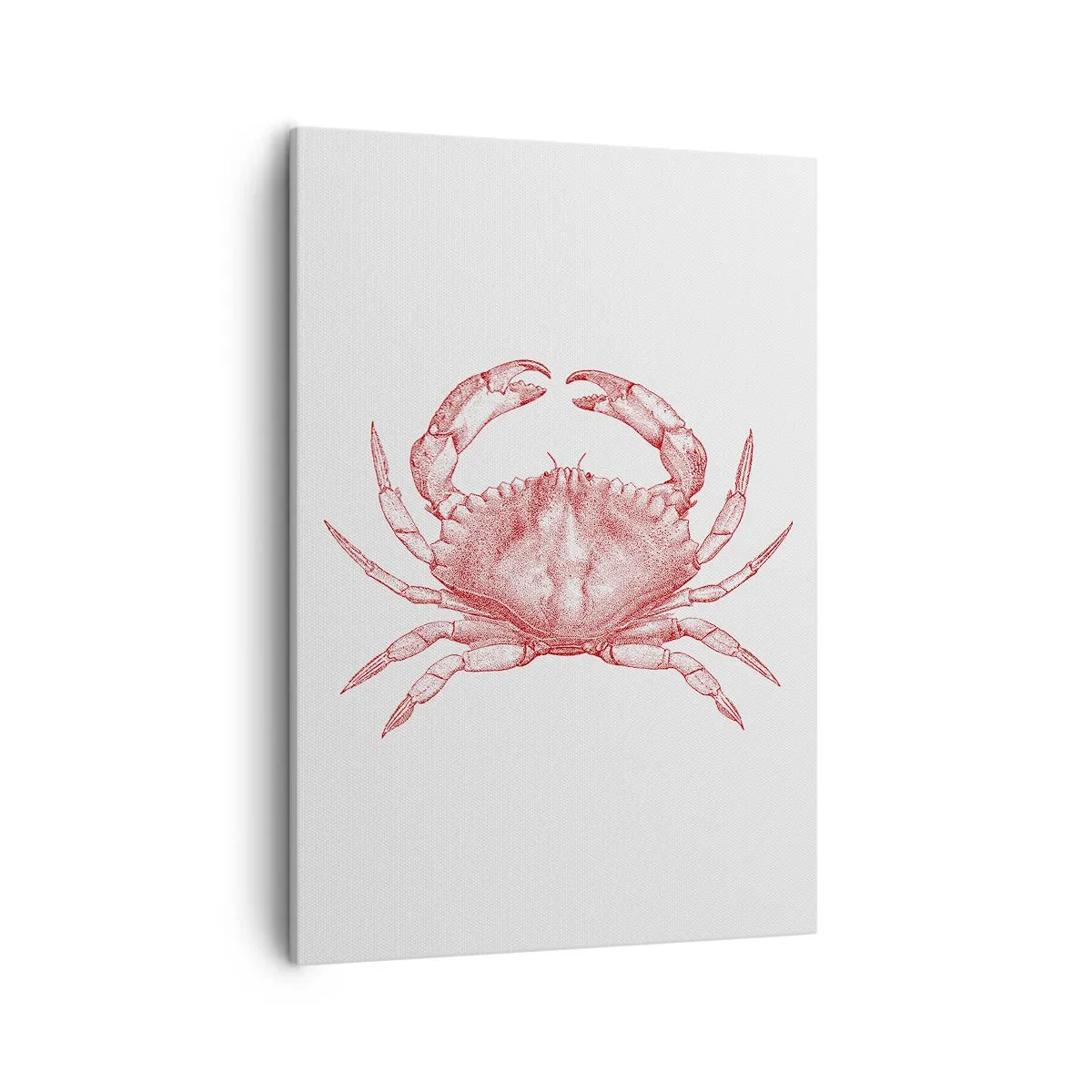 Canvas picture - Crab Like No Other - 50x70 cm