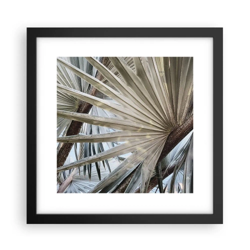 Poster in black frame - Fans in tropics - 30x30 cm