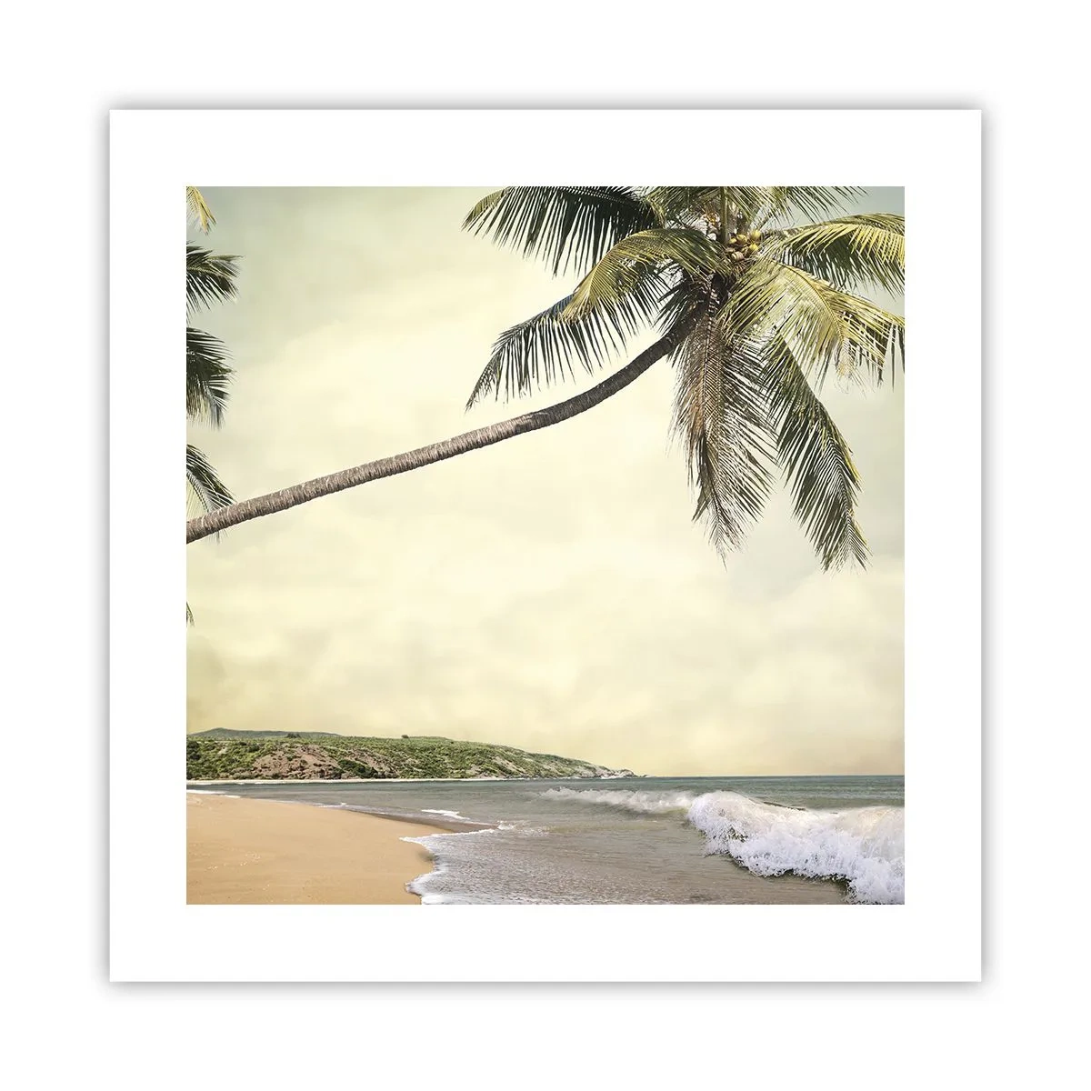 Poster - Tropical Dream - 40x40 cm