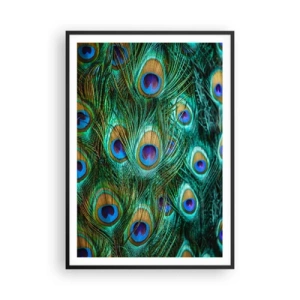Poster in black frame - Peacock Eyes - 70x100 cm