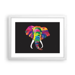 Poster in white frmae - Elephant That Enjoyed Rainbow Bath - 40x30 cm
