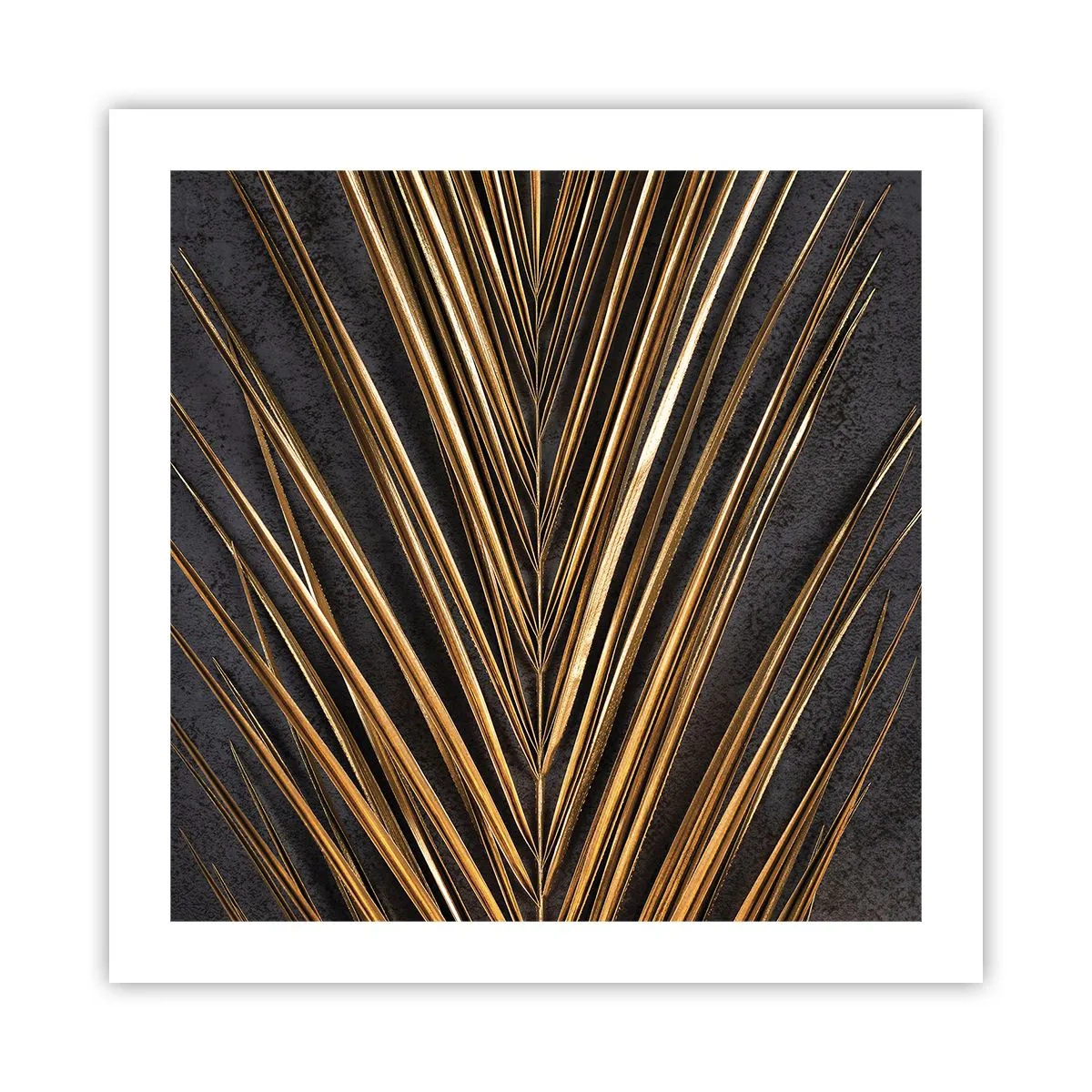 Poster - Gold of the Tropics - 50x50 cm