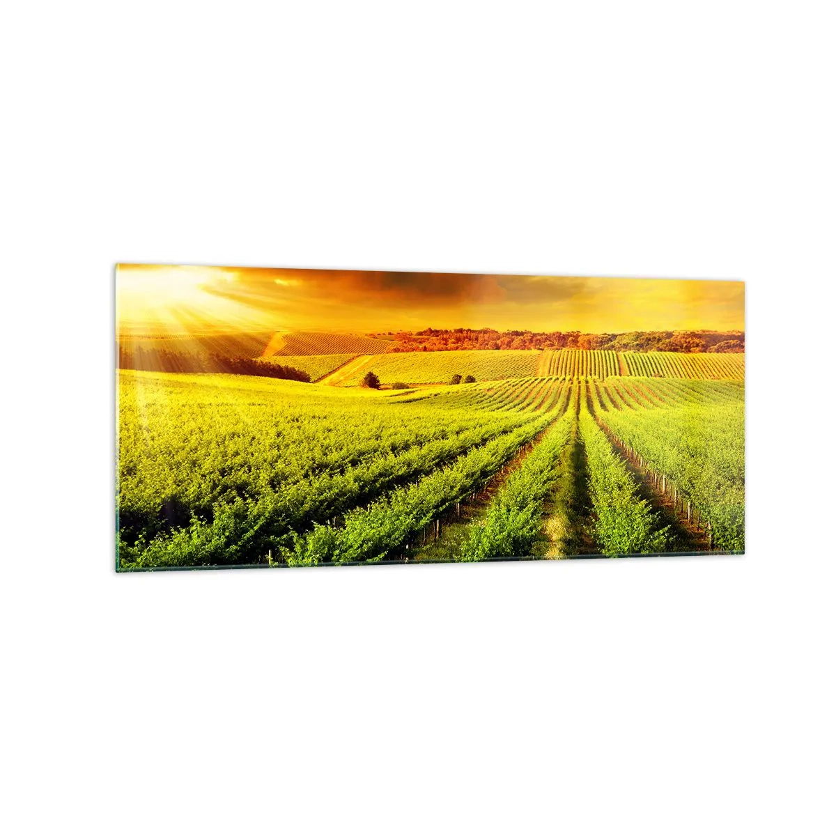 Glass picture - Under Australian Sun - 120x50 cm