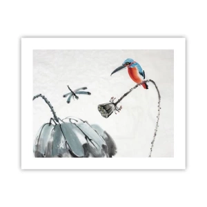 Poster - Life of a Meadow - 50x40 cm