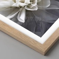 Light Oak