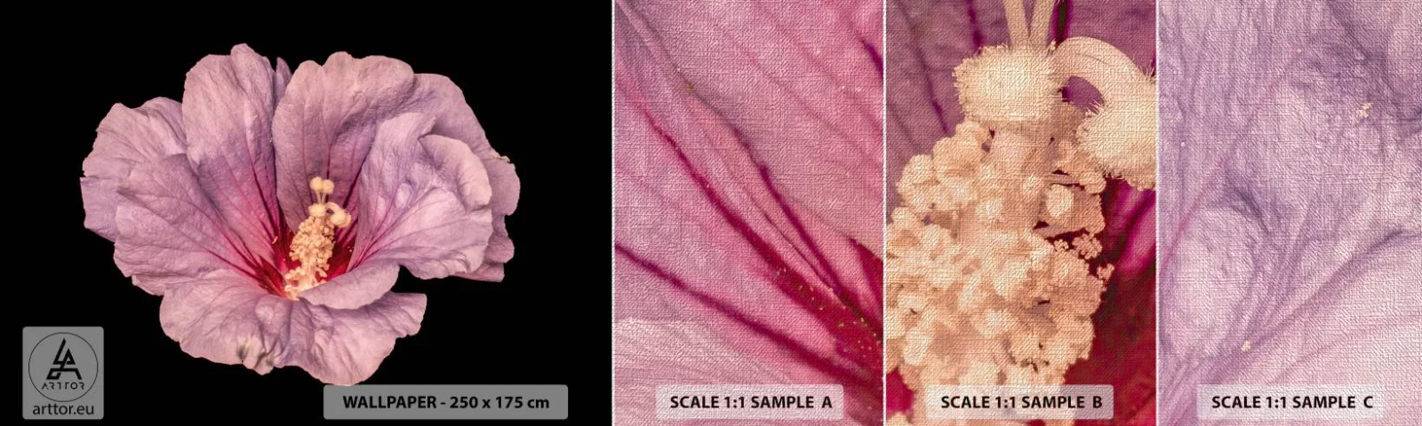 Photo Wallpaper Sample Premium Canvas - Straight from the Heart - Flower, Piece, Graphics - 100x30 cm