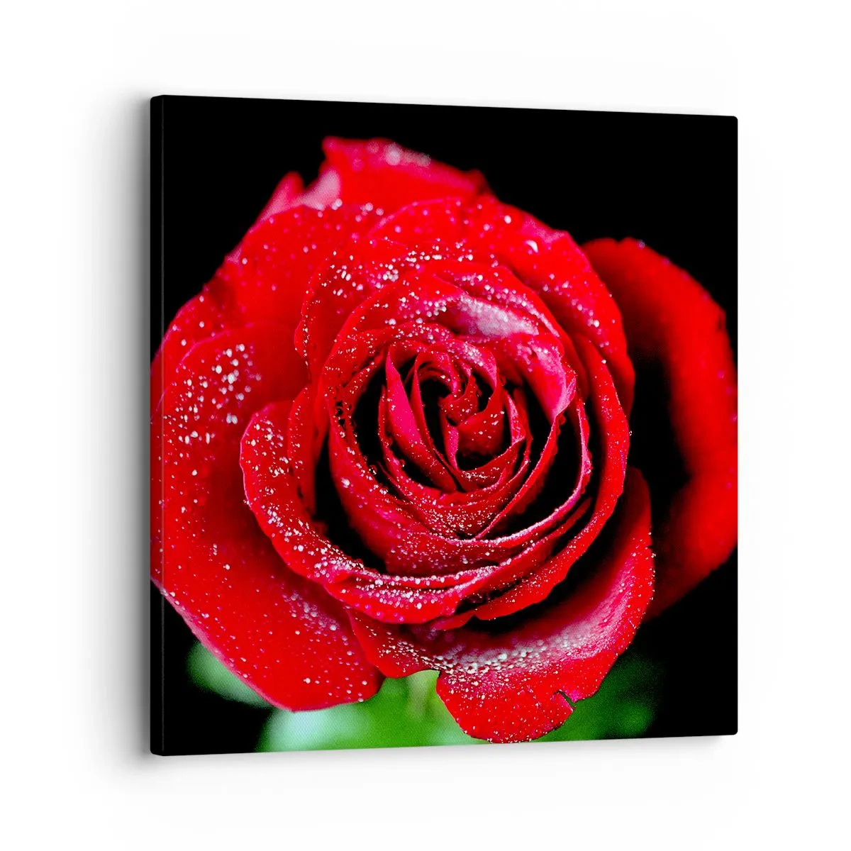 Canvas picture - This Is Love - 30x30 cm