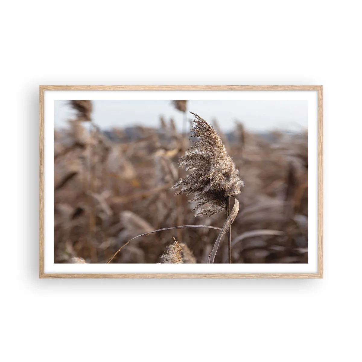 Poster in light oak frame - Time to Fly with the Wind - 91x61 cm