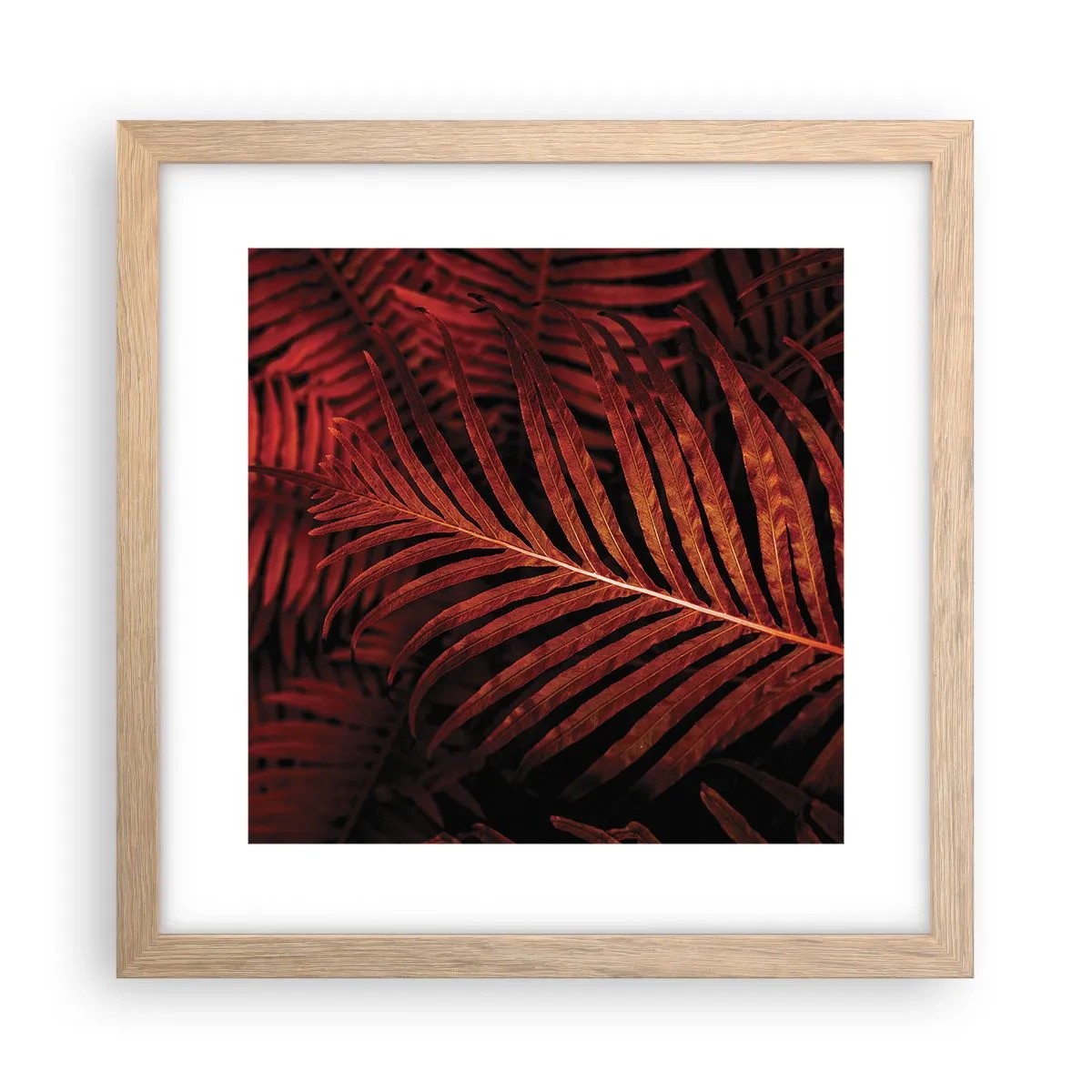 Poster in light oak frame - Heat of Life - 30x30 cm