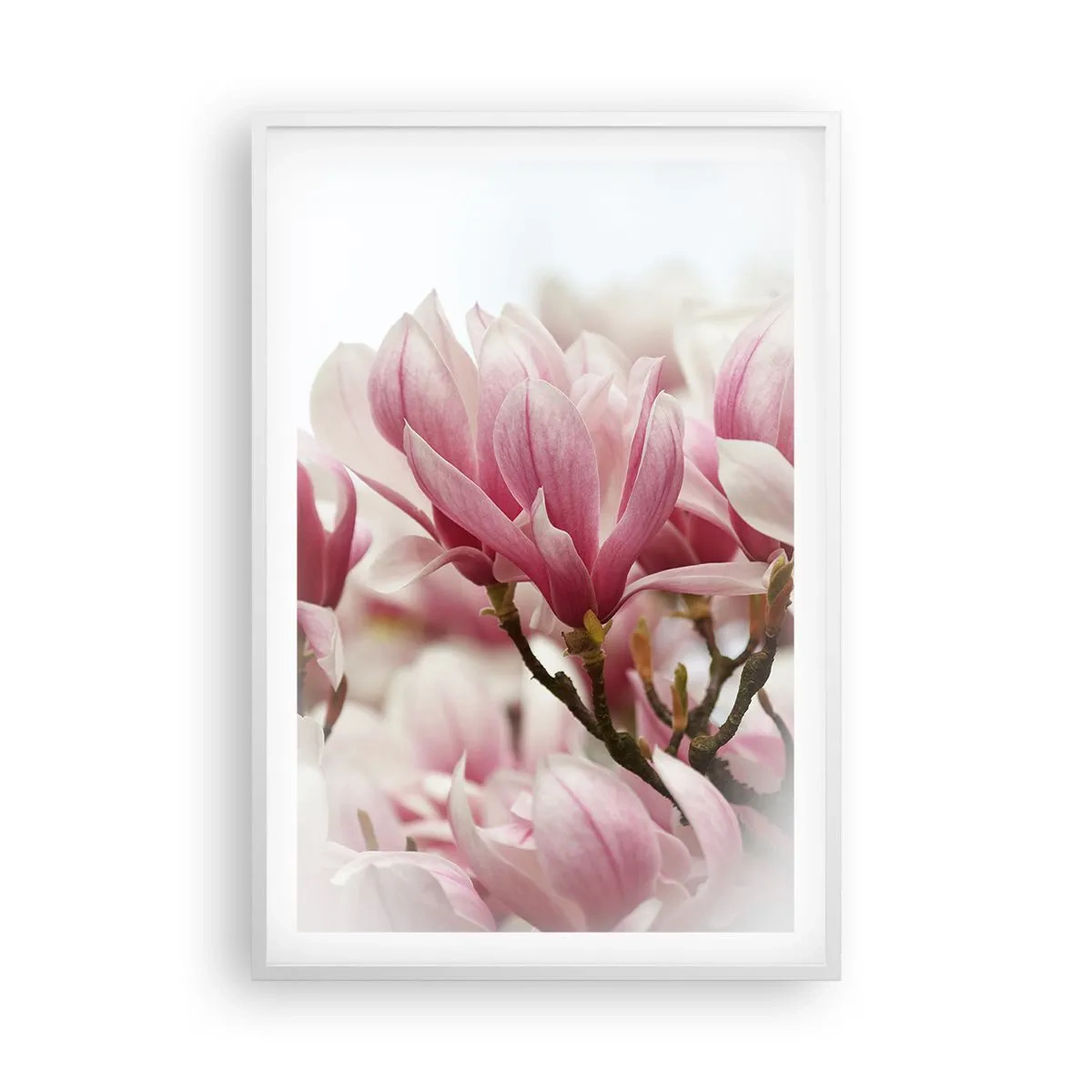 Poster in white frmae - Spring Flowers - 61x91 cm
