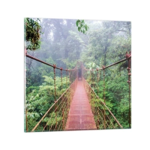 Glass picture - Suspended above Crowns - 50x50 cm