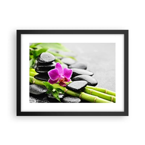 Poster in black frame - In a Peaceful Balance - 40x30 cm