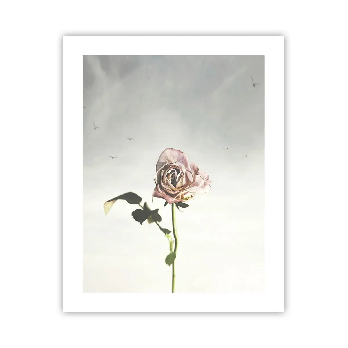 Poster - Welcoming of Spring - 40x50 cm