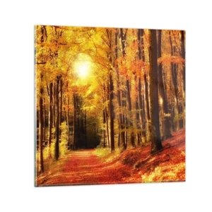 Glass picture - Golden Autumn on a Forest Path - 50x50 cm