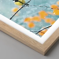 Light Oak