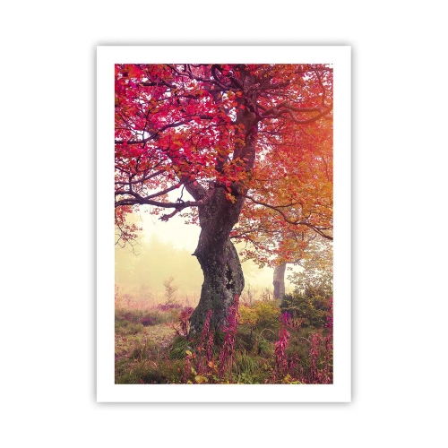 Poster - In Full Bloom - 50x70 cm