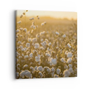 Canvas picture - Fluffy Field - 30x30 cm