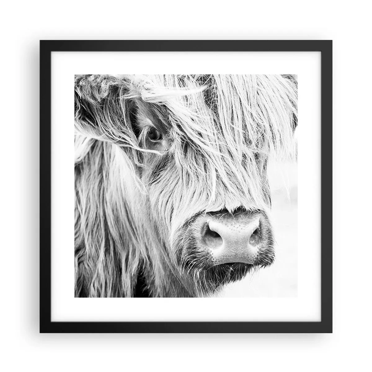 Poster in black frame - Scottish Wilderness - 40x40 cm