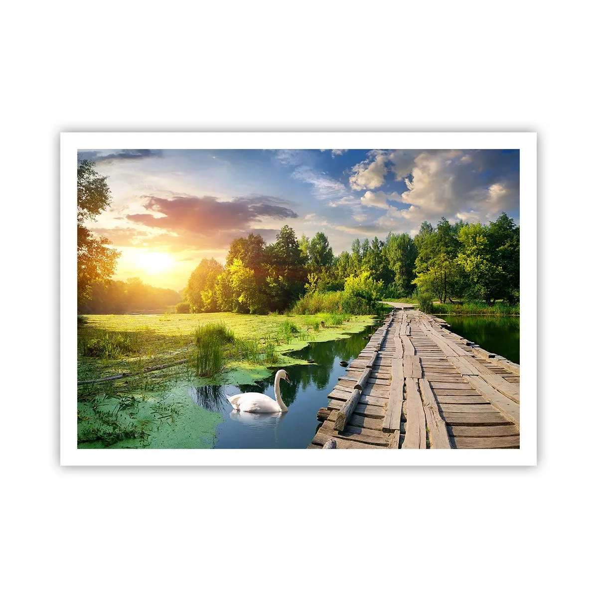 Poster - Summer Everywhere - 100x70 cm