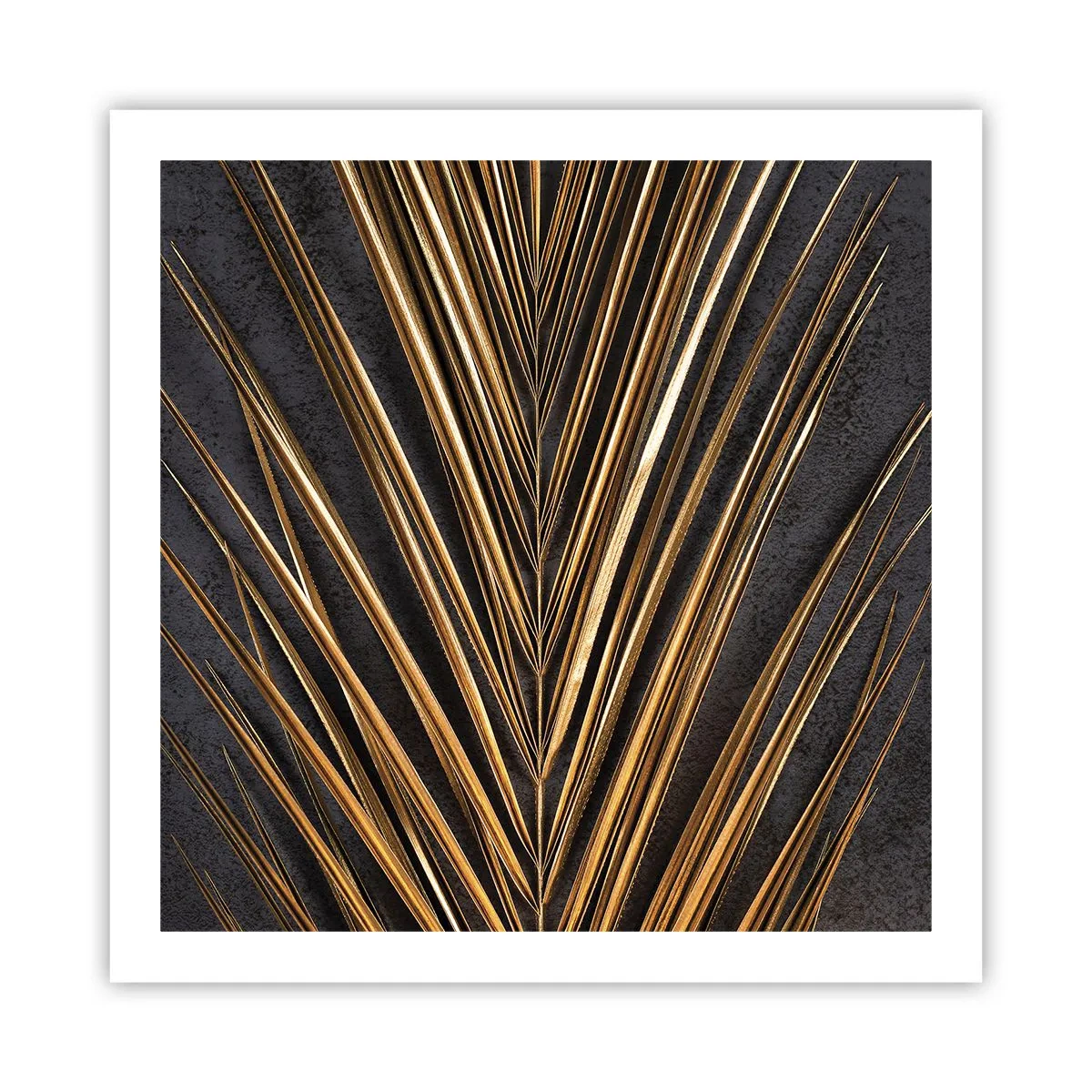 Poster - Gold of the Tropics - 60x60 cm