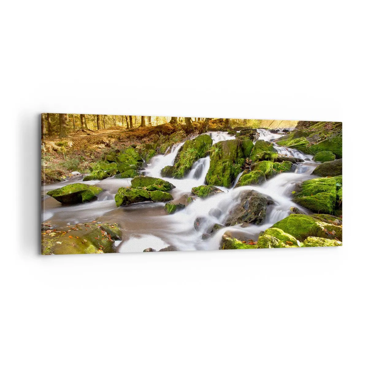 Canvas picture - Gingerly through an Autumnal Forest - 120x50 cm