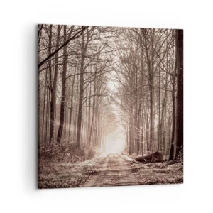 Canvas picture - Cathedral of the Forest - 60x60 cm