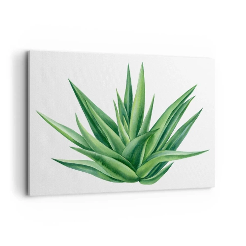 Canvas picture - Green - Power - Life - 100x70 cm