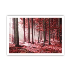 Poster - Red Equally Beautiful - 100x70 cm
