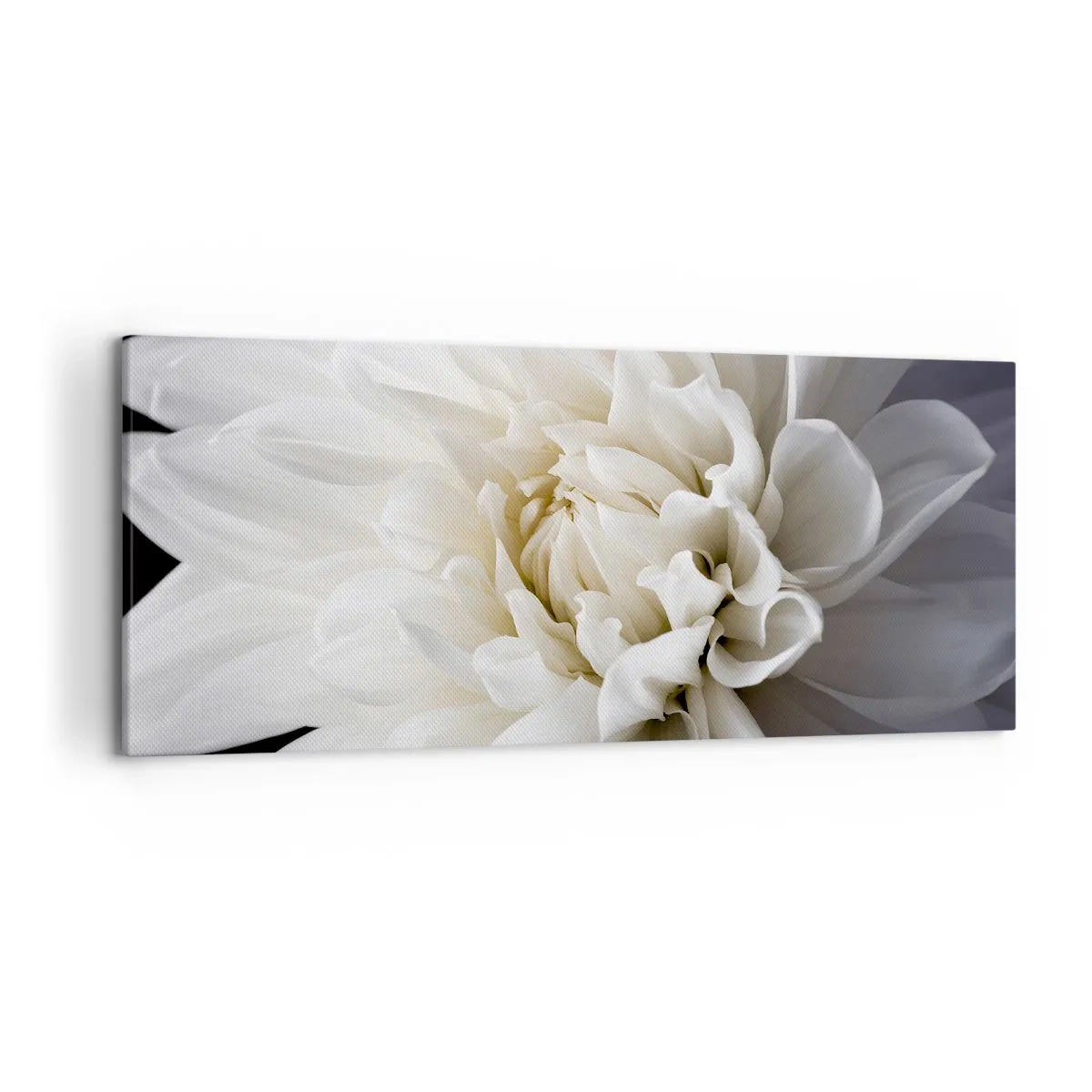 Canvas picture - Bride's Morning - 120x50 cm