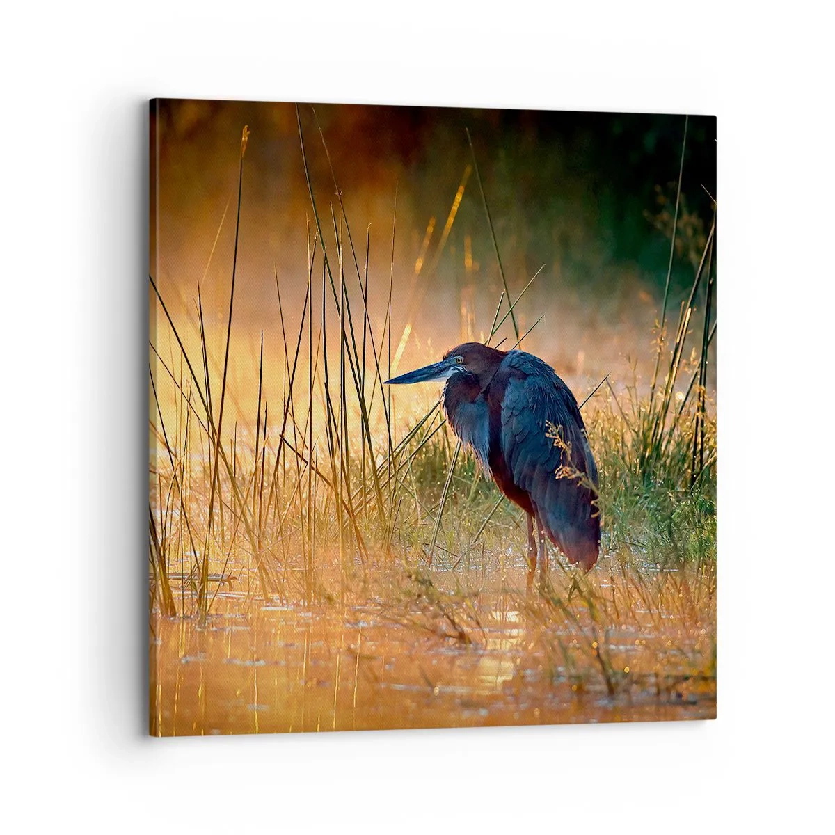 Canvas picture - Stop Taking Pictures - 70x70 cm