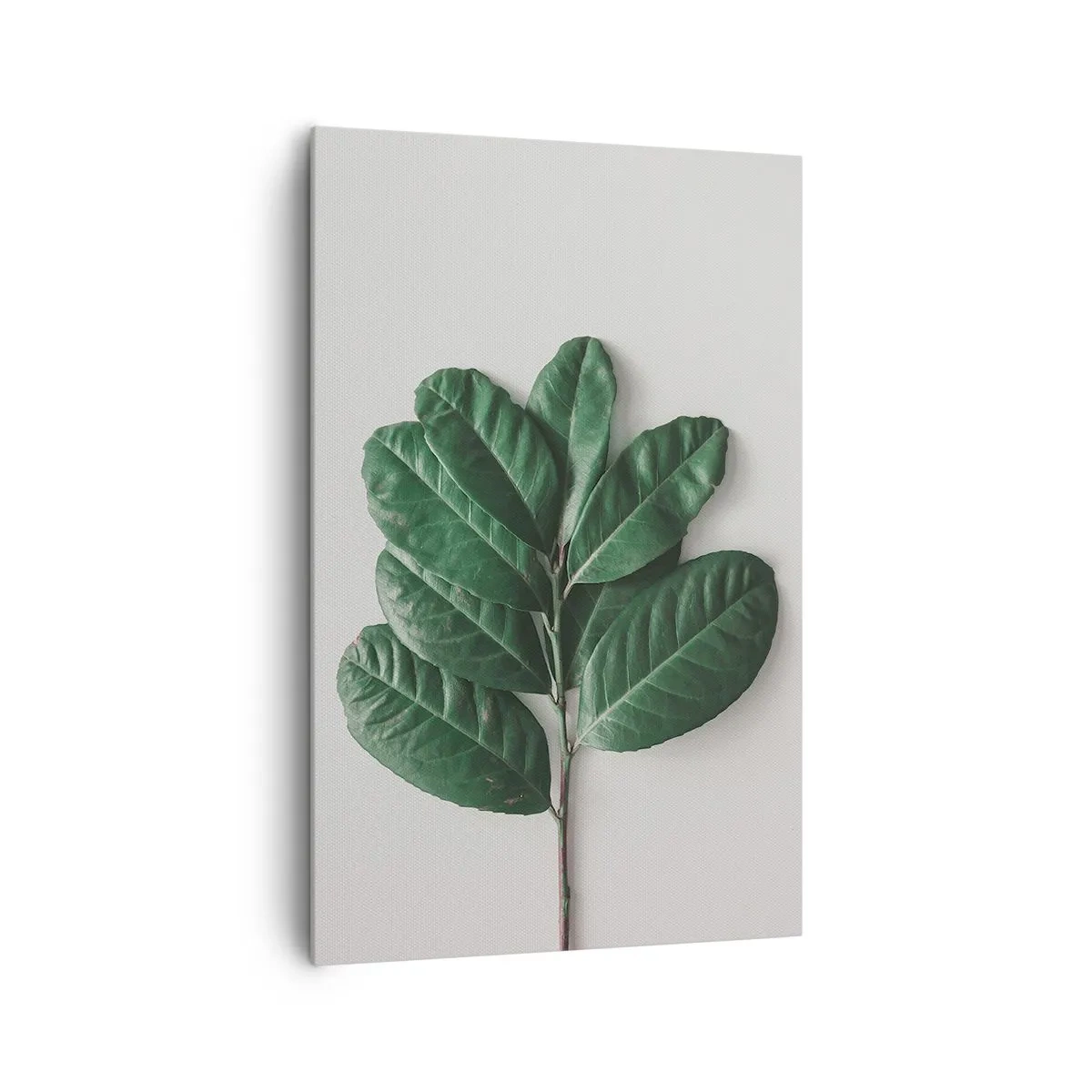 Canvas picture - Drawing of Nature Itself - 80x120 cm