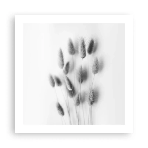 Poster - Her Softness Grass - 50x50 cm