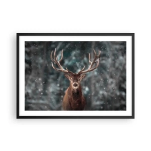 Poster in black frame - King of Forest Crowned - 70x50 cm
